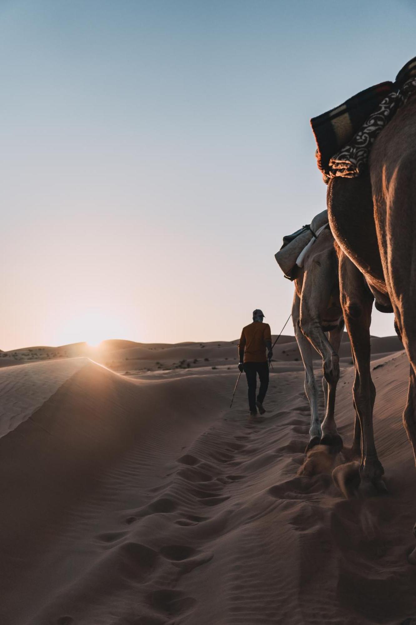 Hamood Desert Private Camp Al Wāşil Exterior foto